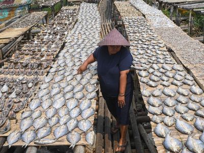 Hilirisasi Industri Pengolahan Perikanan