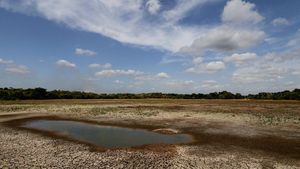 Kekeringan di Sri Lanka, Danau Mengering hingga Padi Gagal Panen