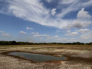Kekeringan di Sri Lanka, Danau Mengering hingga Padi Gagal Panen Kekeringan di Sri Lanka, Danau Mengering hingga Padi Gagal Panen