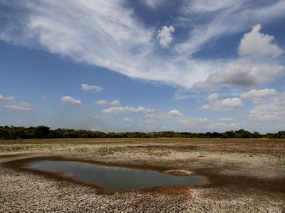 Kekeringan di Sri Lanka, Danau Mengering hingga Padi Gagal Panen