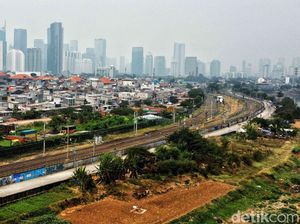 Menteri LHK: Jokowi Minta Perkantoran Mulai Tanam Pohon Besar Menteri LHK: Jokowi Minta Perkantoran Mulai Tanam Pohon Besar