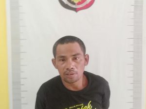 Rampok dan Hampir Perkosa Korban, Pria di Batam Dibekuk Polisi