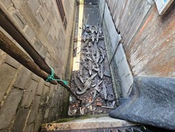 Kades di OKI Akan Sisir Rumah Warga Buntut Kasus Penangkaran Buaya