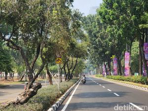 9 Lokasi Kantong Parkir Sekitaran GBK Saat Jakarta Running Festival 2025 9 Lokasi Kantong Parkir Sekitaran GBK Saat Jakarta Running Festival 2025