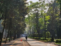 Lokasi Parkir Mobil hingga Motor Saat Misa Akbar Paus Fransiskus di GBK