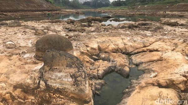 Kemarau Bikin Citanduy Menyusut hingga Dasar Sungainya Terlihat