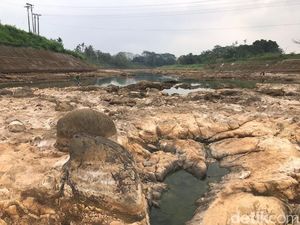 Kemarau Bikin Citanduy Menyusut hingga Dasar Sungainya Terlihat