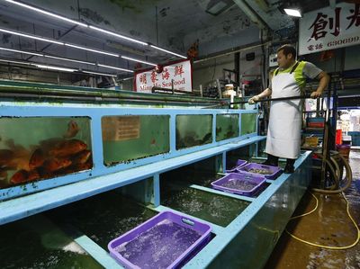 Protes Limbah, Hong Kong Terapkan Larangan Impor Makanan Laut Jepang