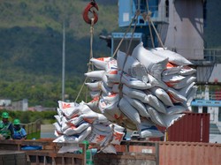 Kronologi RI Mau Impor Beras dari India Namun Batal