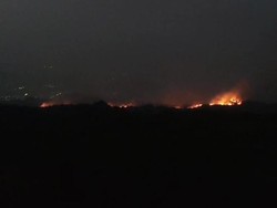 Hutan di TN Gunung Ciremai Kembali Terbakar