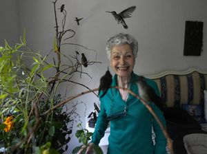 Keren! Wanita Ini Rela Sulap Apartemennya Jadi Rumah Sakit untuk Burung Keren! Wanita Ini Rela Sulap Apartemennya Jadi Rumah Sakit untuk Burung