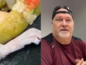 Ngeri! Pria Ini Temukan Kaki Tikus di Menu Sup Restoran Populer