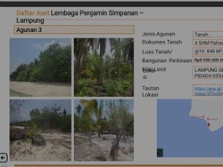 Pantai di Pulau Pahawang Mau Dilelang Rp 16 M, Ada Apa?