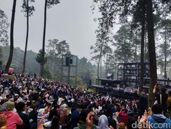 Forestra, Menikmati Alunan Musik di Tengah Sejuknya Hutan Pinus Lembang