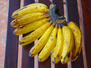 Catat! 5 Makanan Sehat Ini Tidak Boleh Dikonsumsi Berlebihan