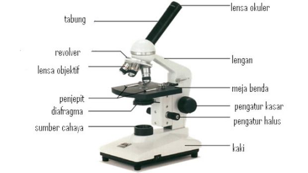 Ketahui Bagian-bagian Mikroskop Sebelum Menggunakannya di Laboratorium