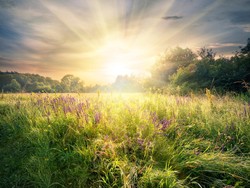 Kisah Singkat 25 Nabi dan Rasul yang Wajib Diketahui