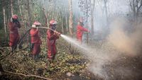 Pemadaman Kebakaran Lahan Gambut di OKI Sumsel