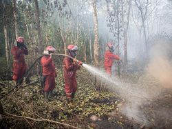 Pemadaman Kebakaran Lahan Gambut di OKI Sumsel