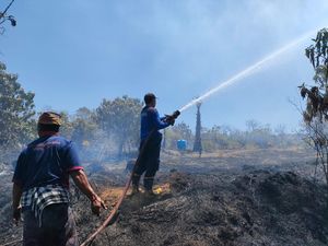 41 Hektare Lahan Terbakar di Karangasem Selama Lima Hari Berturut-turut 41 Hektare Lahan Terbakar di Karangasem Selama Lima Hari Berturut-turut