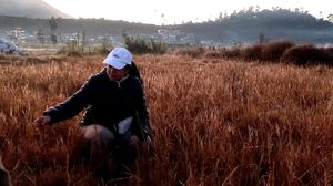 Potret Puan Maharani Mencari Embun Es di Dieng