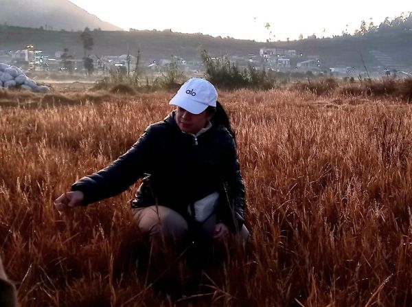 Potret Puan Maharani Mencari Embun Es di Dieng