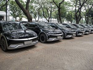 Daun Gugur Bisa Bikin Cat Mobil Rusak! Ini Cara Mencegahnya Daun Gugur Bisa Bikin Cat Mobil Rusak! Ini Cara Mencegahnya
