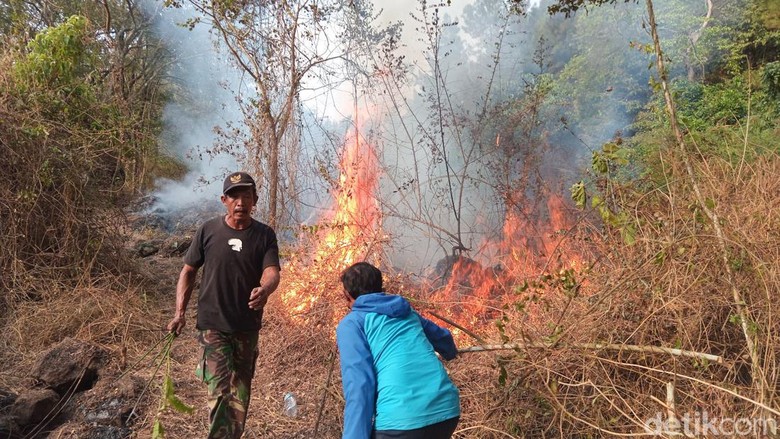 Momen Petugas Berjibaku Padamkan Api di Gunung Ciremai