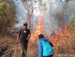 BPBD Sebut Kebakaran Hutan Gunung Ciremai Mulai Terkendali