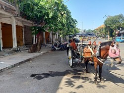 Nasib Kusir Pasca Kehilangan Tempat Mangkal di Jembrana