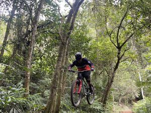 Tantang Adrenalin dengan Wisata Sepeda Gunung di Desa Penuktukan Tantang Adrenalin dengan Wisata Sepeda Gunung di Desa Penuktukan