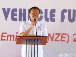 Pemprov Bali Susun Net Zero Emission di Sektor Kehutanan