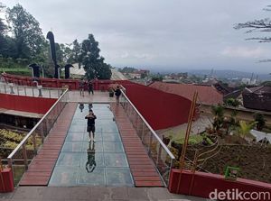 Menikmati Sejuknya Taman Botani Baturraden, Jauh dari Polusi Udara Menikmati Sejuknya Taman Botani Baturraden, Jauh dari Polusi Udara