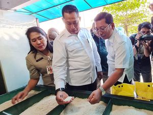 Buwas Cek Beras Bulog di Pasar Perumnas Klender