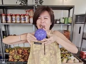 Ci Mehong Marahi Netizen hingga Jajanan di Festival Coachella Mahal Ci Mehong Marahi Netizen hingga Jajanan di Festival Coachella Mahal