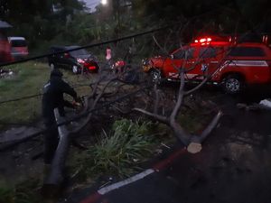 Imbas Hujan Deras-Angin Kencang di Bogor, Rumah Rusak hingga Bencana Longsor