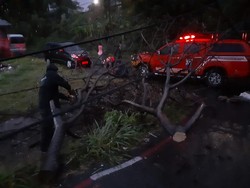 Imbas Hujan Deras-Angin Kencang di Bogor, Rumah Rusak hingga Bencana Longsor