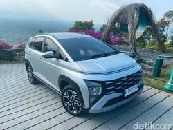 Stargazer X Model Ini Paling Banyak Peminatnya