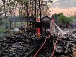 Rumah dan 3 Kandang di Lamongan Terbakar, 6 Sapi dan 1 Kambing Terpanggang
