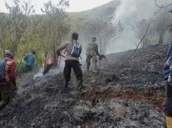 Perburuan Liar Diduga Jadi Penyebab Kebakaran Lahan di Gunung Arjuno