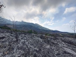 Jalur Pendakian Gunung Arjuno-Welirang Ditutup Dampak Kebakaran