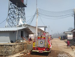 Kandang Terbakar, 260 Ribu Ekor Ayam Mati Terpanggang di Majalengka