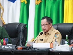 Arahan Mendagri untuk Pemda Hadapi Potensi Kenaikan Harga Beras di RI