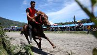 Serunya Lomba Pacuan Kuda Tradisional Gayo