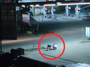 Kronologi Pengendara Motor di Kendari Diduga Siksa Anjing hingga Mati Kronologi Pengendara Motor di Kendari Diduga Siksa Anjing hingga Mati