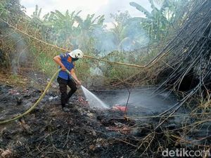 Warga Diminta Waspadai Kebakaran Lahan Imbas Kemarau Panjang