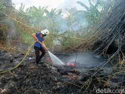 Warga Diminta Waspadai Kebakaran Lahan Imbas Kemarau Panjang