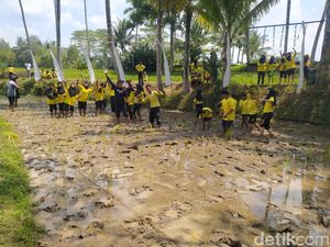 Tak Cuma Tempat Swafoto, Svargabumi Tawarkan Sensasi Tanam Padi di Sawah Tak Cuma Tempat Swafoto, Svargabumi Tawarkan Sensasi Tanam Padi di Sawah