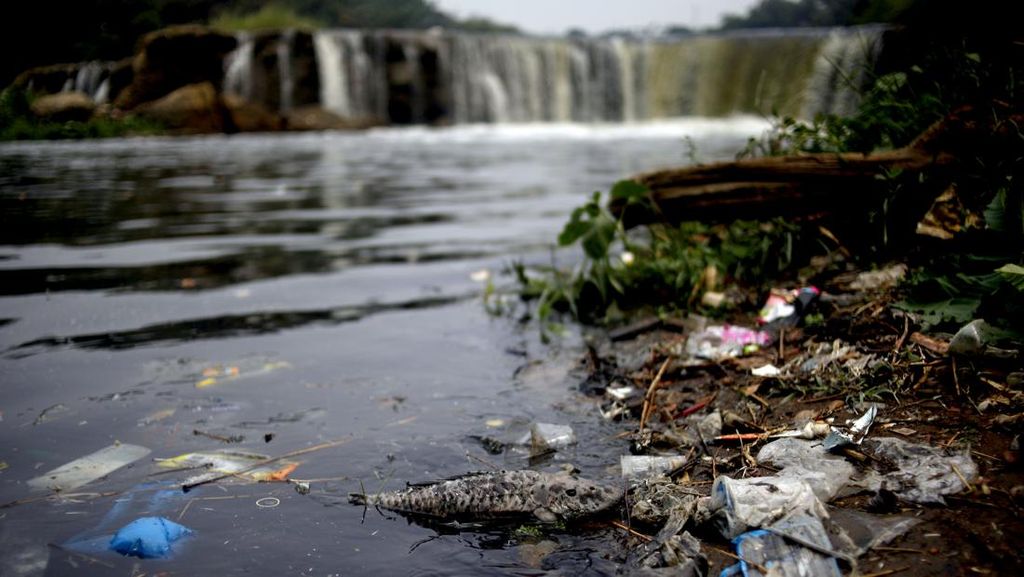 Waduh, Aliran Sungai Cileungsi Tercemar Limbah Pabrik Waduh, Aliran Sungai Cileungsi Tercemar Limbah Pabrik