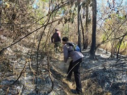 Polisi Cari Pemburu Liar yang Picu Kebakaran Hutan Gunung Arjuno